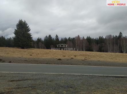 Prodej - pozemek, trvalý travní porost, 2 511 m²