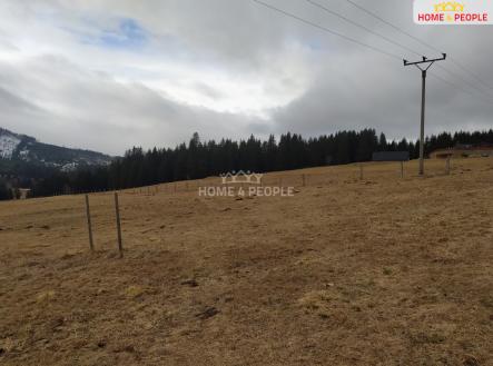 Prodej - pozemek, trvalý travní porost, 2 511 m²