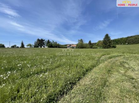 Prodej pozemku, trvalý travní porost, 3 932 m²