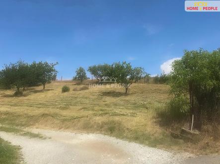 Prodej pozemku pro bydlení, 1 255 m²