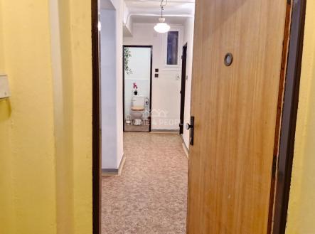 Prodej bytu, 1+1, 42 m²