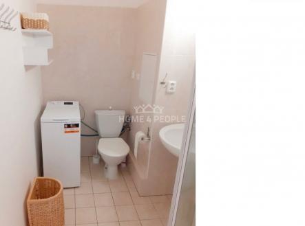 Pronájem bytu, 1+kk, 27 m²