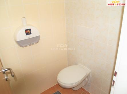 Pronájem obchodní prostory, 32 m²