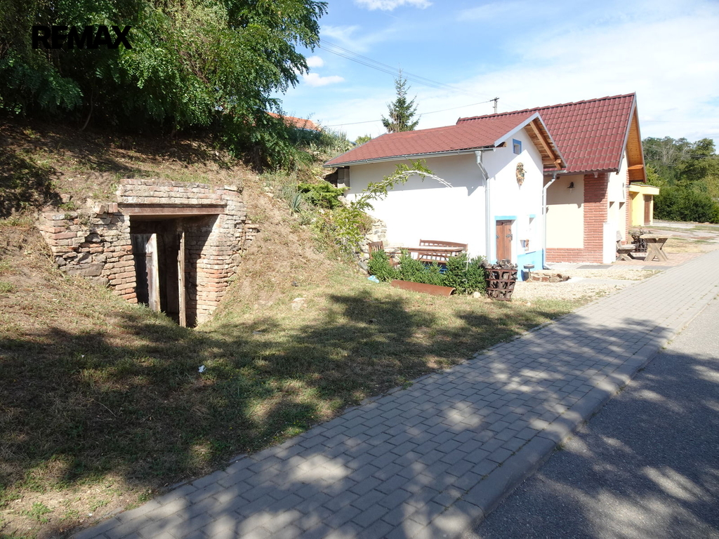 dsc01481.jpg