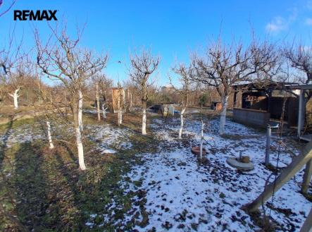 Prodej pozemku, zahrada, 491 m²