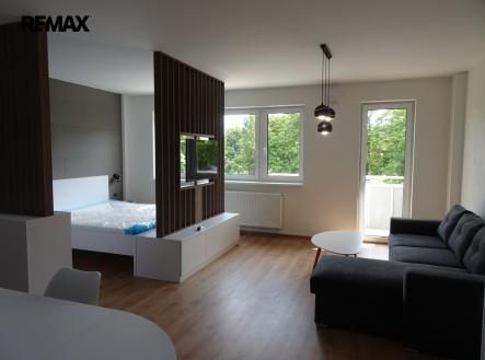 Pronájem bytu, 1+kk, 58 m²