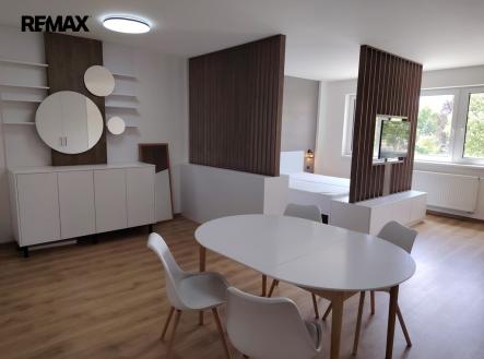 Pronájem bytu, 1+kk, 58 m²