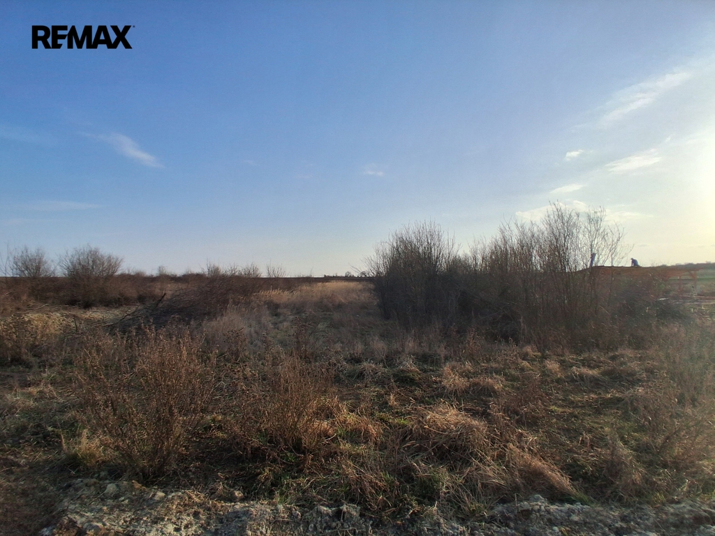 20260310-162458.jpg