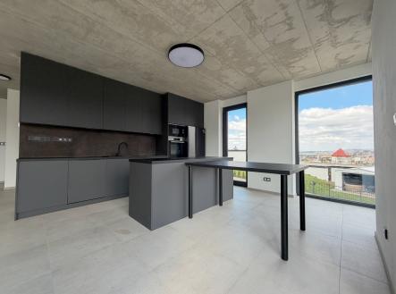 Pronájem domu/vily, 254 m²