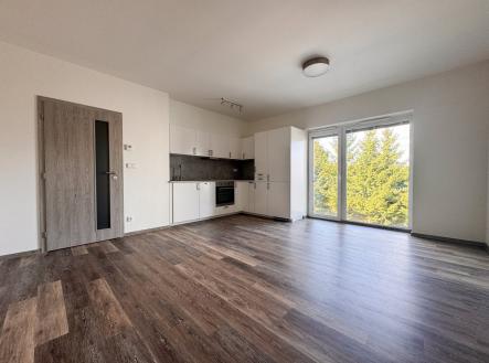 Pronájem bytu, 2+kk, 49 m²