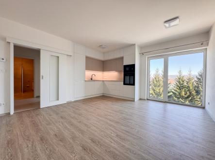 Pronájem bytu, 2+kk, 49 m²