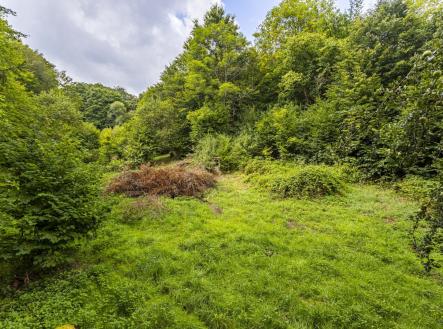 Prodej pozemku pro bydlení, 3 117 m²