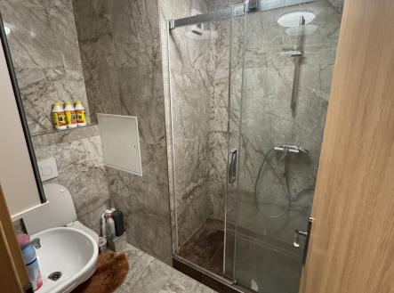 Prodej bytu, 3+kk, 55 m²