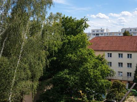foto: 11