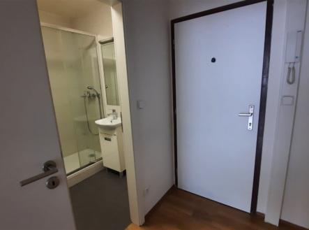 Prodej bytu, 1+kk, 30 m²