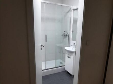 Prodej bytu, 1+kk, 30 m²