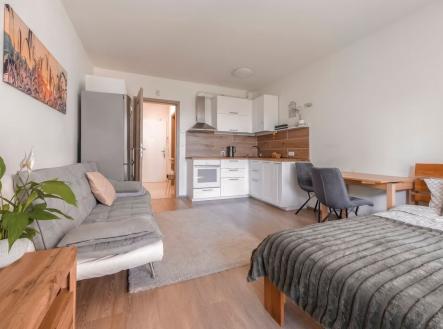 Prodej bytu, 1+kk, 40 m²