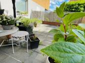 Prodej bytu, 1+kk, 26 m²