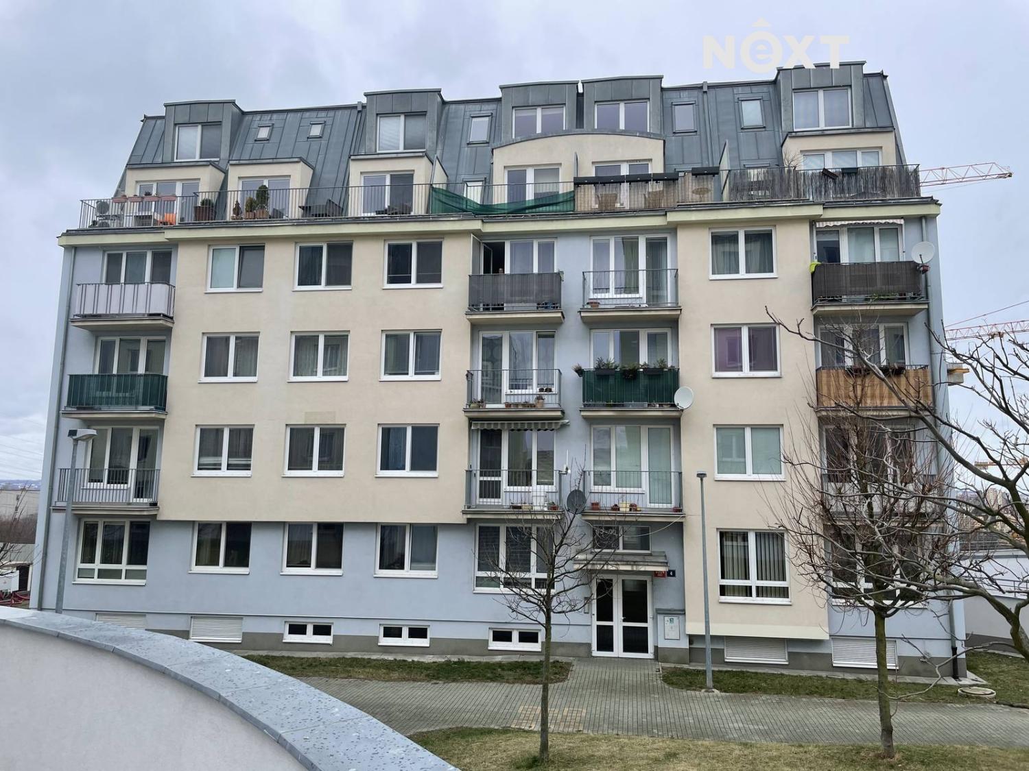 Fotku se nepodařilo načíst.