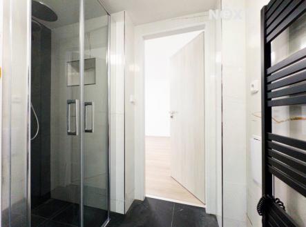 Pronájem bytu, 1+kk, 43 m²