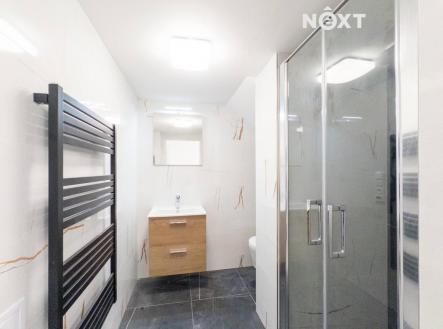 Pronájem bytu, 1+kk, 43 m²