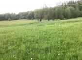 Prodej pozemku, ostatní, 85 000 m²