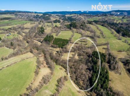 Prodej pozemku, trvalý travní porost, 6 913 m²