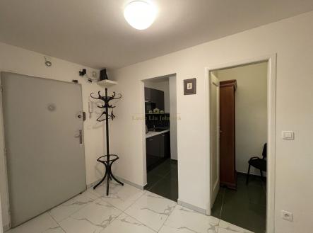 Prodej bytu, 1+kk, 38 m²