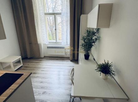 Pronájem bytu, 1+kk, 19 m²
