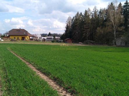 Prodej pozemku pro bydlení, 4 494 m²