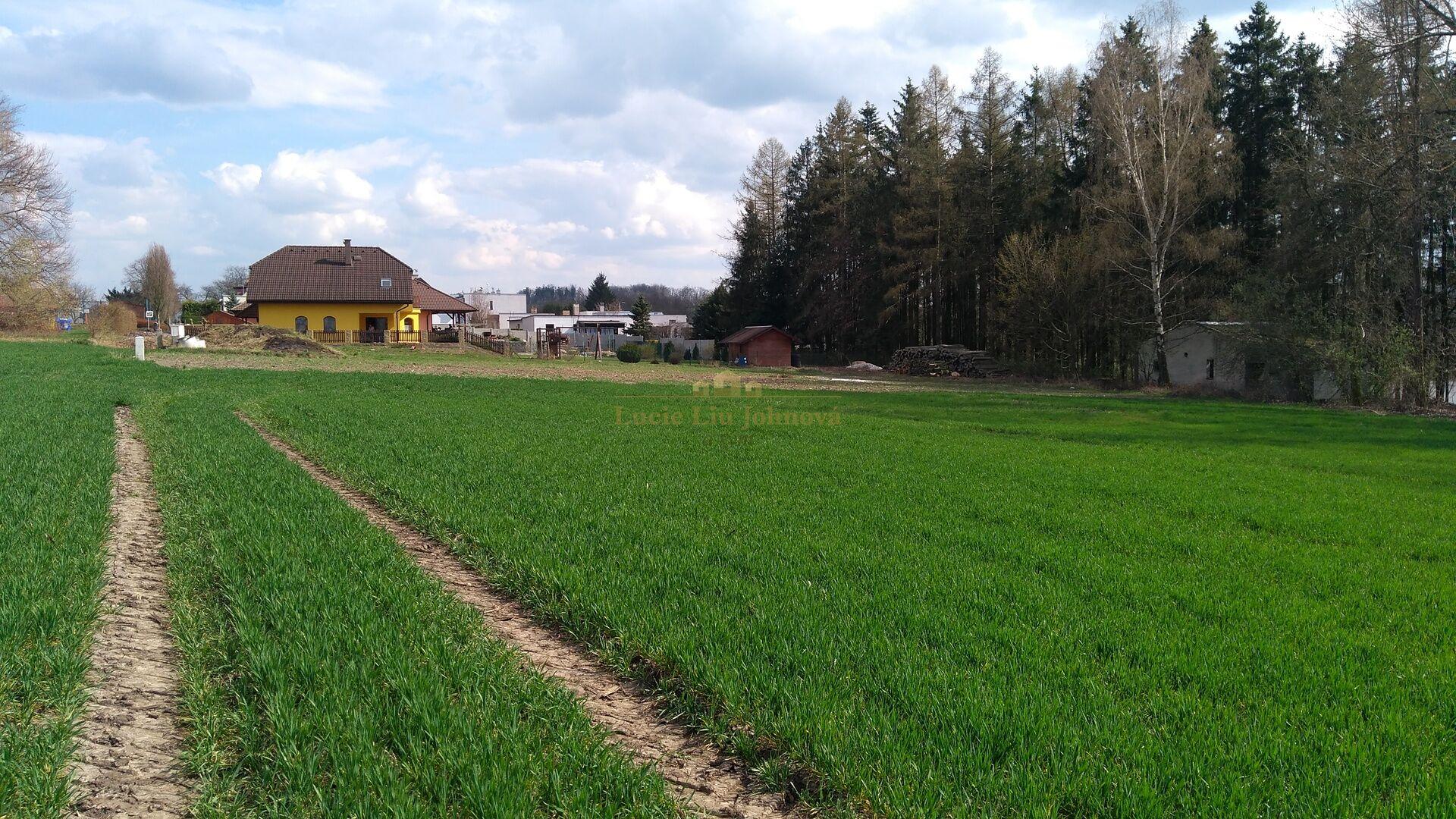 Prodej stavebního pozemku, 4494 m2, obec Libuň, okres Jičín