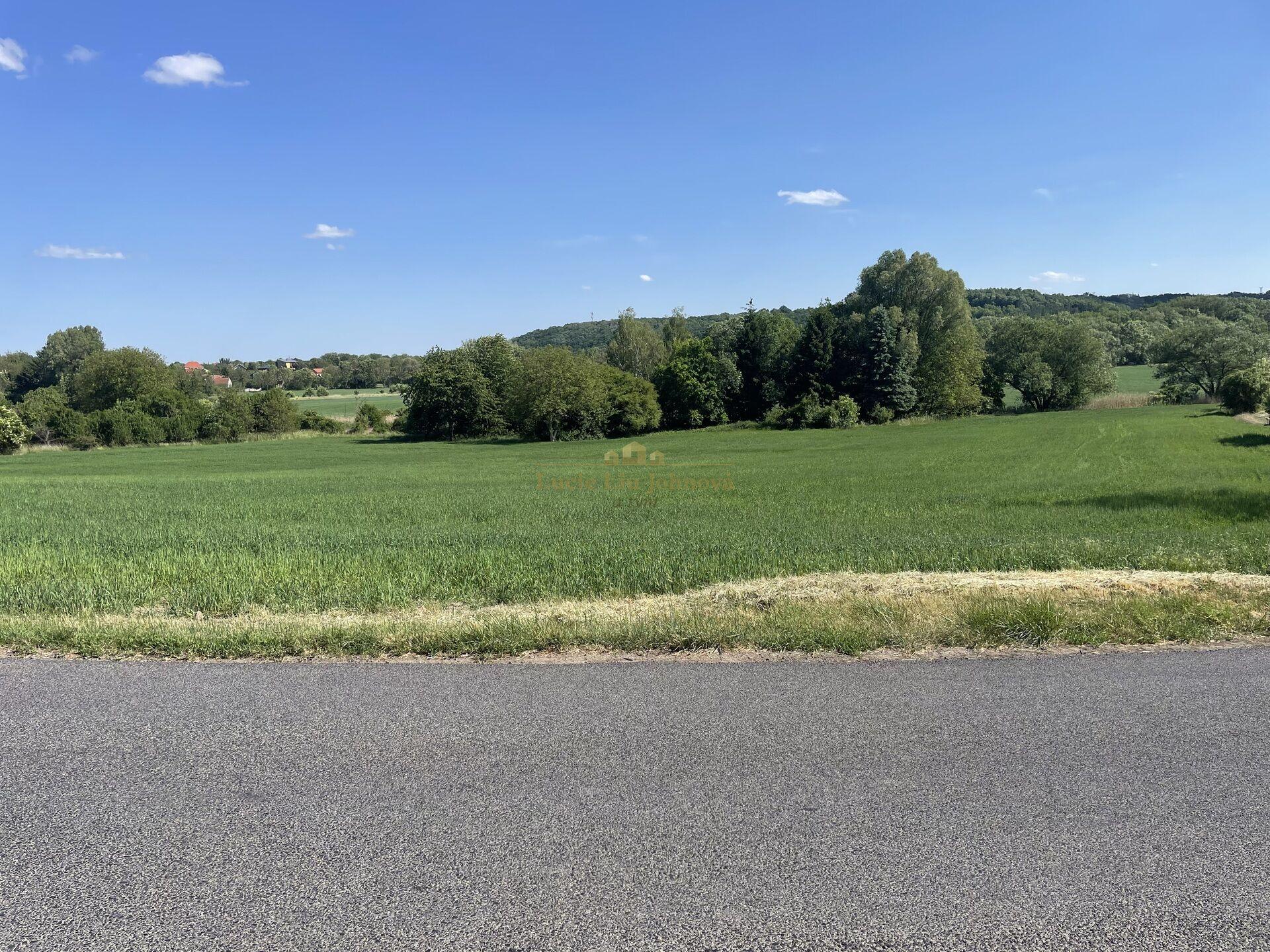Prodej pozemku o celkové výměře 2559 m2, obec Nová Ves, okr. Mělník