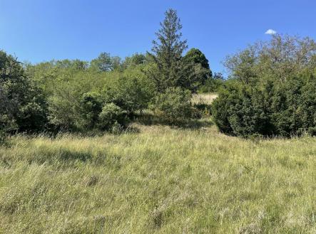Prodej pozemku, zahrada, 2 559 m²