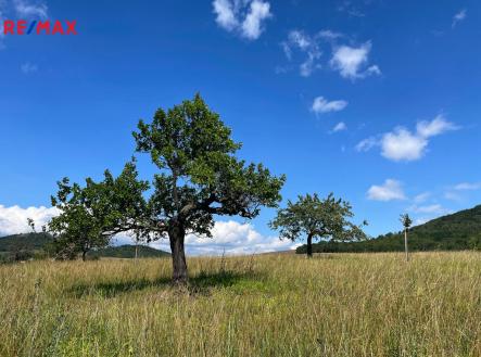 Prodej - pozemek pro bydlení, 4 847 m²