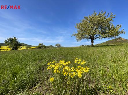 Prodej pozemku pro bydlení, 4 847 m²