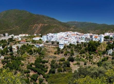 c1-almazara-village-istan-880x370.jpg