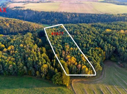 Prodej pozemku, les, 35 057 m²