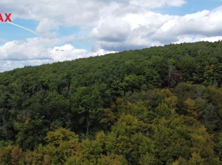 Prodej pozemku, les, 22 668 m²