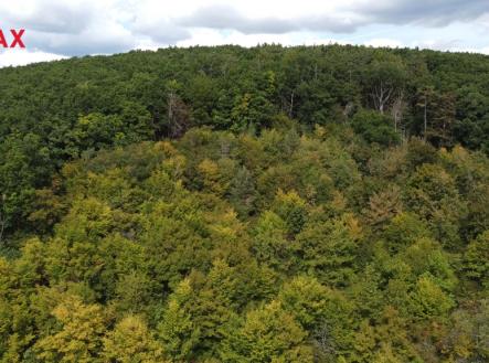 Prodej pozemku, les, 22 668 m²
