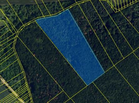 Prodej pozemku, les, 22 668 m²