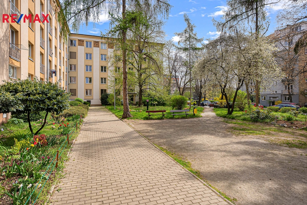 Fotku se nepodařilo načíst.