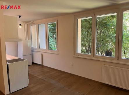 Pronájem bytu, 1+kk, 40 m²