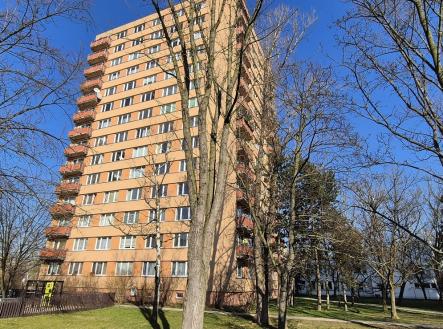 Prodej bytu, 1+kk, 28 m²