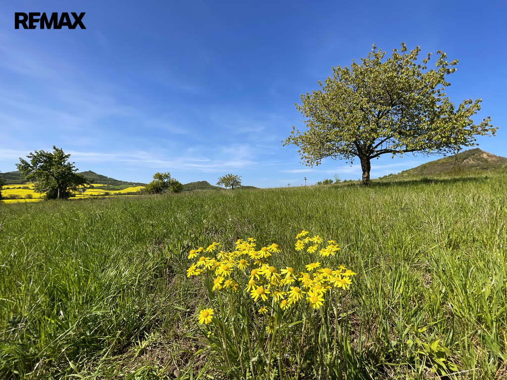 Podsedice_03 (Braňo Pažitka)