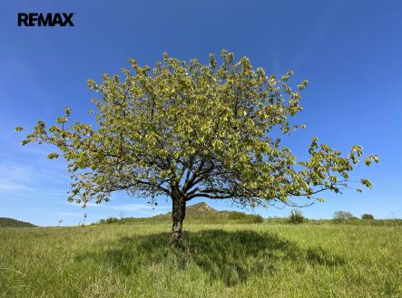 Prodej pozemku pro bydlení, 4 847 m²