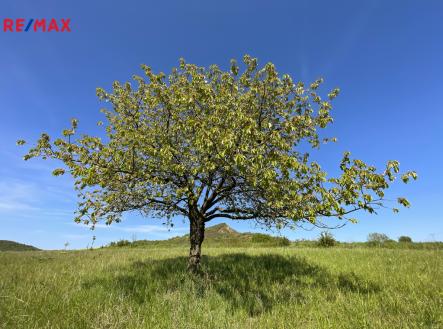 Prodej pozemku pro komerční výstavbu, 4 847 m²