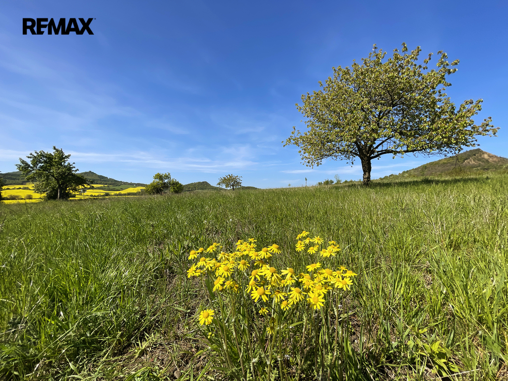 Podsedice_03 (Braňo Pažitka)