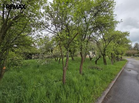Prodej domu/vily, 215 m²
