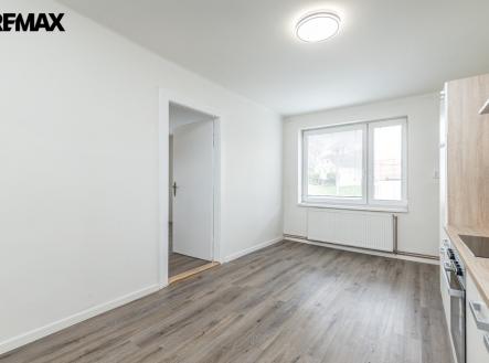 Prodej bytu, 1+1, 65 m²