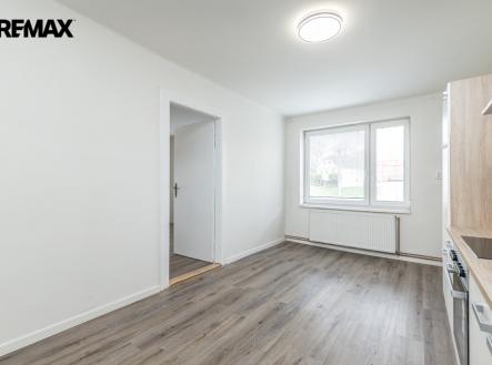 Prodej bytu, 1+1, 65 m²